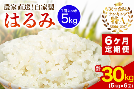 [定期便／6ヶ月連続 ] 新米 [令和7年産] 伊勢原産 精米5kg はるみ 農家直送！加藤さんちのうんめぇ！自家製米｜お米 おこめ コメ 白米 神奈川 伊勢原 ブランド米 [0740]