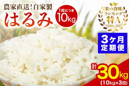 [定期便／3ヶ月連続 ] 新米 [令和7年産] 伊勢原産 精米10kg(5kg×2袋) はるみ 農家直送！加藤さんちのうんめぇ！自家製米｜お米 おこめ コメ 白米 神奈川 伊勢原 ブランド米 [0741]