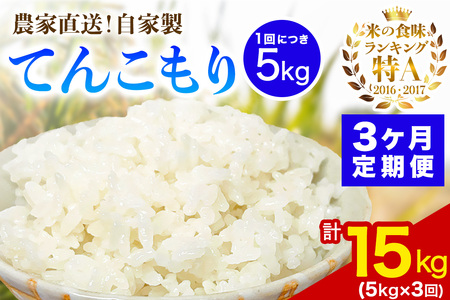 [定期便／3ヶ月連続 ] 新米 [令和7年産] 伊勢原産 精米5kg てんこもり 農家直送！加藤さんちのうんめぇ！自家製米｜ お米 おこめ コメ 白米 神奈川 伊勢原 [0744]