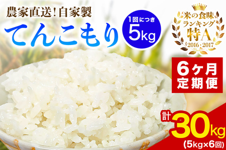 [定期便／6ヶ月連続 ] 新米 [令和7年産] 伊勢原産 精米5kg てんこもり 農家直送！加藤さんちのうんめぇ！自家製米｜ お米 おこめ コメ 白米 神奈川 伊勢原 [0745]