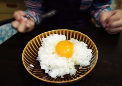 坂本養鶏 数量限定 80個×1年間(12回)お届け!大山の麓で育ったさかもとのたまご
