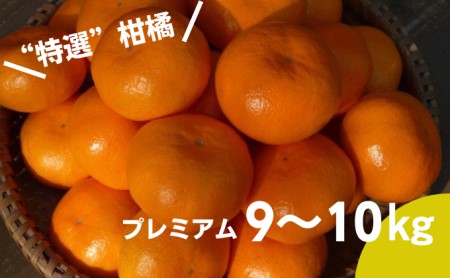 “お任せお届けプレミアムみかん”さて何が入っているかな。乞うご期待!