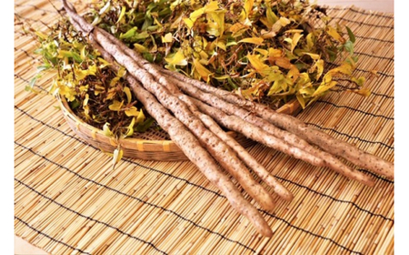 自然薯をおろさなくていいんです！自然薯パウダー 40g×5袋 水で溶いて手軽に召し上がれるフリーズドライの粉末 [0203]