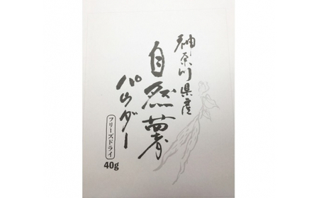 自然薯をおろさなくていいんです！自然薯パウダー 40g×10袋 水で溶いて手軽に召し上がれるフリーズドライの粉末 [0204]