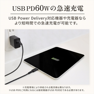 Owltech(オウルテック) PD60W やわらかく断線に強い USB C to Cケーブル1.2m ブラック OWL-CBPTCC12-BK 【 ケーブル 家電 神奈川県 海老名市 】