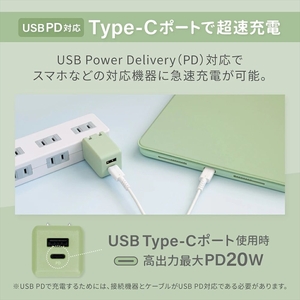 Owltech(オウルテック) PowerDelivery20Wで超速充電可能 きらきら可愛いオーロラカラーのAC充電器 OWL-APD20A1C1R-AU 【 AC充電器 家電 神奈川県 海老名市 】