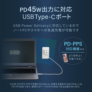 Owltech(オウルテック) GaN(窒化ガリウム)採用 USB Type-C×1 USB Type-A×1 最大PD45W出力 コンパクト2ポートAC充電器 OWL-APD45C1A1G-BK ブラック