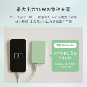 Owltech(オウルテック) Type-C 入力&出力対応で軽量110g 5000mAh 小型軽量モバイルバッテリー OWL-LPB5012-KI キナリ