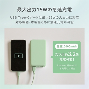 Owltech(オウルテック) Type-C 入力&出力対応で軽量196g 10000mAh 小型軽量モバイルバッテリー OWL-LPB10012-IB アイスミントブルー