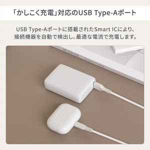 Owltech(オウルテック) USB Type-C入出力 PowerDelivery30W対応 10000mAh モバイルバッテリー OWL-LPB10020-WH ホワイト