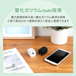 Owltech(オウルテック) 最大PD30W出力 GaN採用 USB Type-C×1 USB Type-A×1 AC充電器 OWL-APD30C1A1R-WH ホワイト