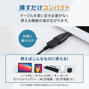 Owltech(オウルテック) USB 3.2Gen2準拠 USB Type-A to USB Type-C変換アダプター OWL-ADCAF31S2-BK