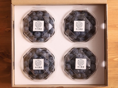 【先行予約】【極大粒】摘みたて完熟ブルーベリー500g（125g×4パック）＜出荷開始：2026年6月5日～2026年7月15日＞【 ブルーベリー フルーツ 神奈川県 海老名市 】