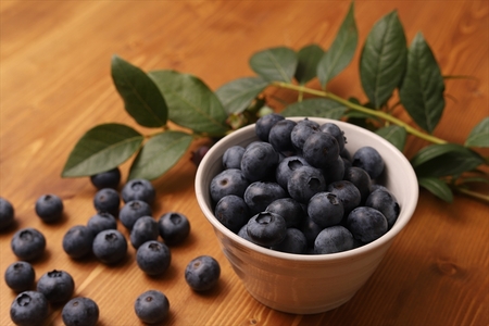 【先行予約】【大粒】摘みたて完熟ブルーベリー500g（125g×4パック）＜出荷開始：2026年6月5日～2026年7月15日＞【 ブルーベリー フルーツ 神奈川県 海老名市 】