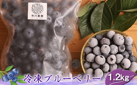 【先行予約】冷凍ブルーベリー1.2kg（600g×2パック）＜出荷開始：2026年8月10日～2026年9月10日＞【 ブルーベリー フルーツ 神奈川県 海老名市 】