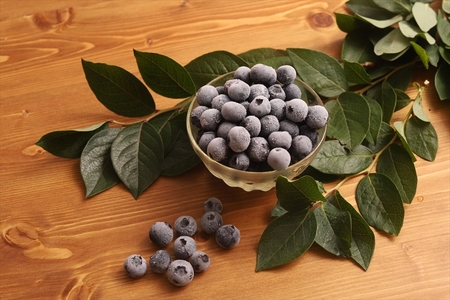 【先行予約】冷凍ブルーベリー1.2kg（600g×2パック）＜出荷開始：2026年8月10日～2026年9月10日＞【 ブルーベリー フルーツ 神奈川県 海老名市 】