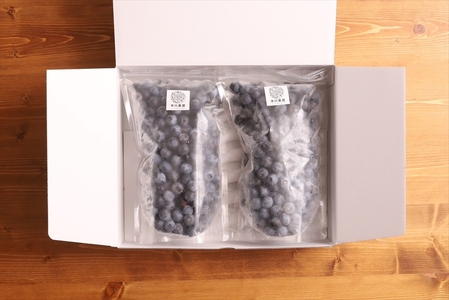 【先行予約】冷凍ブルーベリー1.2kg（600g×2パック）＜出荷開始：2026年8月10日～2026年9月10日＞【 ブルーベリー フルーツ 神奈川県 海老名市 】