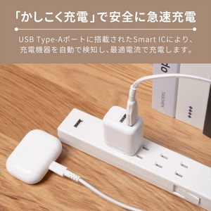 Owltech(オウルテック) 最大12W出力 USB Type-A×2 AC充電器 OWL-AC12WA2-RWH【 充電器 神奈川県 海老名市 】