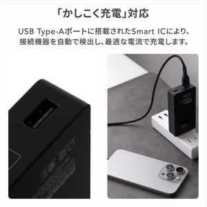 Owltech(オウルテック) 薄さ19.5mm 最大PD65W出力 GaN採用 USB Type-C×1 USB Type-A×1 AC充電器 OWL-APD65SC1A1G-BK【 充電器 神奈川県 海老名市 】