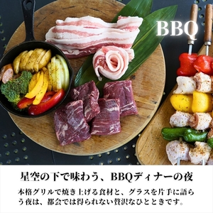 上質アウトドアステイ in ウエインズパーク海老名（コテージ・BBQ・温浴付き）2名様プラン【 チケット 神奈川県 海老名市 】