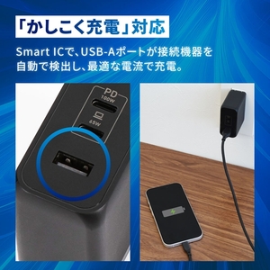 Owltech 超速充電 最大PD100W出力 GaN採用 USB Type-C×2 USB Type-A×1 AC充電器 OWL-APD100C2A1G-BK【 ガジェット 海老名市 】