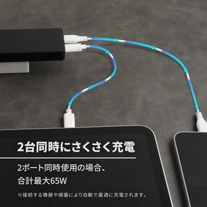 Owltech 薄さ14mm 最大PD65W出力 GaN採用 USB Type-C×2 AC充電器 OEC-APD65C2G-BK【 ガジェット 海老名市 】