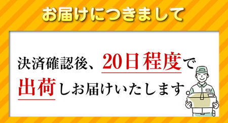 【数量限定品】 Apple iPad 第8世代 Wi-Fi+Cellularモデル シルバー/スペースグレイ 32GB 【中古再生品】