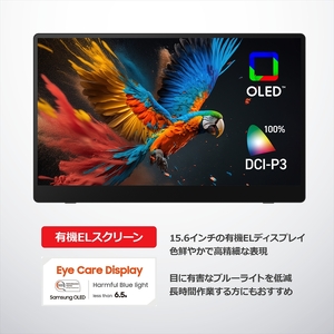 バッテリー内蔵15.6インチ有機ELポータブルタッチディスプレイ。ワイヤレス＆USB接続タイプ。RICOH Light Monitor 150BW【 モニター 神奈川県 海老名市 】