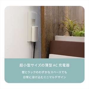 Owltech(オウルテック) 薄さ13mm 最大PD36W出力 GaN採用 USB Type-C×1 AC充電器 OEC-APD36C1G-WH ホワイト【 神奈川県 海老名市 】