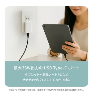 Owltech(オウルテック) 薄さ13mm 最大PD36W出力 GaN採用 USB Type-C×1 AC充電器 OEC-APD36C1G-WH ホワイト【 神奈川県 海老名市 】