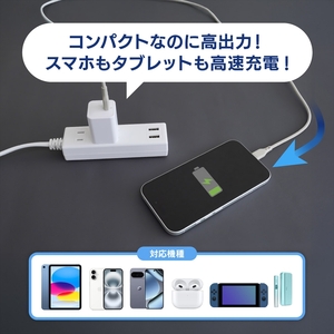 Owltech(オウルテック) 最大PD30W出力 GaN採用 USB Type-C×1 AC充電器 OWL-APD30C1GB-BK ブラック【 神奈川県 海老名市 】