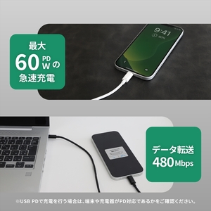 Owltech(オウルテック) 耐屈曲1万回 PD60W充電／データ転送 USB Type-C to USB Type-C ブレイデッドケーブル 0.7m OWL-CBN1CC7-WH ホワイト【 神奈川県 海老名市 】