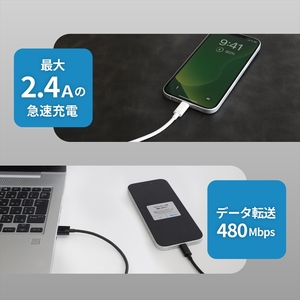 Owltech(オウルテック) 耐屈曲1万回 急速充電2.4A充電/データ転送 USB Type-A to Lightning ブレイデッドケーブル 0.7m OWL-CBN1AL7-BK ブラック【 神奈川県 海老名市 】