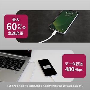 Owltech(オウルテック) 耐屈曲1万回 PD60W充電/データ転送 USB Type-C to Lightning ブレイデッドケーブル 0.7m OWL-CBN1CL7-WH ホワイト【 神奈川県 海老名市 】