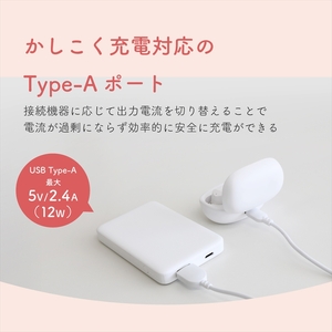 Owltech(オウルテック) 5000mAh 最大12W入出力対応 USB Type-C入出力／USB Type-A出力 モバイルバッテリー OWL-LPB5028-BK ブラック【 神奈川県 海老名市 】