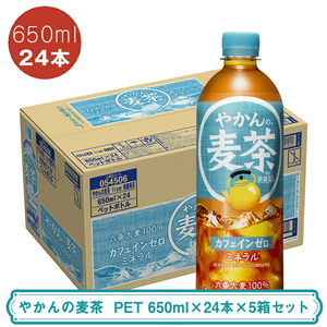 やかんの麦茶 PET 650ml×24本×5箱セット ＜配送不可地域：北海道・九州・沖縄・離島＞ | コカ・コーラ ペットボトル 1ケース(24本) お茶 麦茶 むぎ茶 飲料 ドリンク【コカ・コーラ 日常使い 防災  海老名市 】