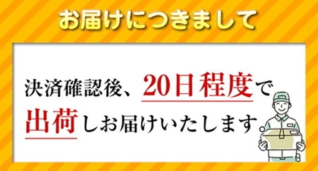 【数量限定品】 iPadPRO(第3世代) Wi-Fiモデル 64GB スペースグレイ キズあり品 【中古再生品】【Apple アップル アイパッド プロ タブレット 家電 神奈川県 海老名市 】