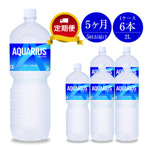 定期便 5カ月 アクエリアス 2L×6本セット【 ペットボトル スポーツ飲料 ...
