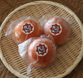 【先行予約】冷蔵熟成柿1.5kg箱　〈出荷時期：2026年12月20日～2027年2月28日出荷終了〉【 柿 かき フルーツ 神奈川県 海老名市 】