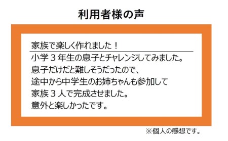 ダンボール製立体パズル　トラ【配送不可地域：北海道・九州・沖縄・離島】