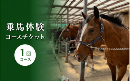 乗馬体験コースチケット１回コース｜乗馬体験 レンタル付 乗馬 乗馬散歩 馬 自然 初心者 安心 スポーツ アウトドア