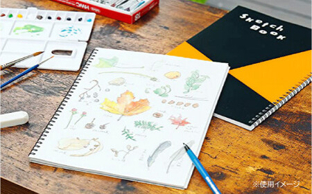 図案スケッチ・クロッキー　３種　セット◇｜画材 色彩 鉛筆 画用紙 お絵描き 絵 デッサン 絵具 ボールペン クレヨン 文具 アイデア ペン マーカー 色鉛筆　※着日指定不可