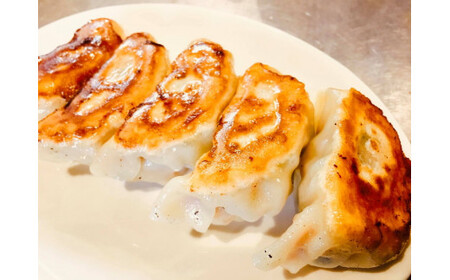 座間名物！大餃子5個×10パック合計50個 ※着日指定不可