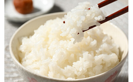 【定期便】6か月 座間市産米 はるみ5kg×6回 ※離島への配送不可※2025年10月下旬頃より順次発送予定