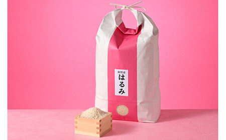 【定期便】6か月 座間市産米 はるみ5kg×6回 ※離島への配送不可※2025年10月下旬頃より順次発送予定