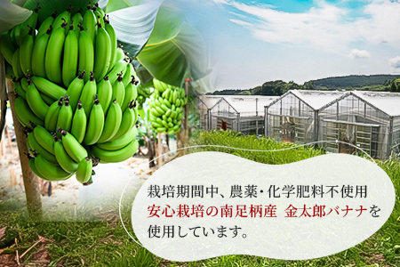 金太郎バナナアイス(8個) 栽培期間中農薬不使用 【国産 ギフト プレゼント 贈り物 お返し おいしい 果物 くだもの フルーツ お歳暮 お中元 】