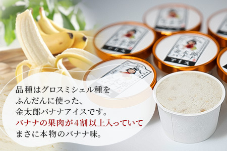 金太郎バナナアイス(8個) 栽培期間中農薬不使用 【国産 ギフト プレゼント 贈り物 お返し おいしい 果物 くだもの フルーツ お歳暮 お中元 】