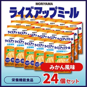 守山乳業 MORIYAMA　ライズアップミール　みかん風味【 ゼリー ギフト プレゼント 贈り物 お返し おいしい まとめ買い 神奈川県 南足柄市 】