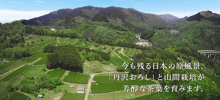 【定期便】毎月お届け（6ヶ月間） 箱根・丹沢山麓厳選茶葉100%使用のほうじ茶（リシール缶）465g×24本入【 お茶 ギフト プレゼント 贈り物 神奈川県 南足柄市 】