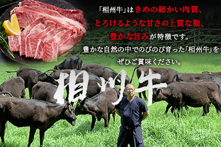 【国産希少牛】 相州牛（すき焼き用） 500g 南足柄ブランド 国産牛 肉 ふるさと納税【すき焼き 牛肉 お肉 ブランド牛 神奈川県 南足柄市 】